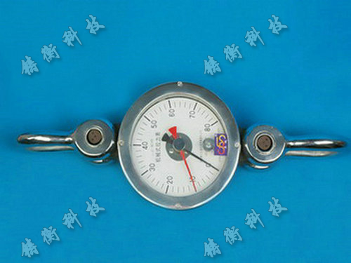 機械式大量程推拉力計圖片